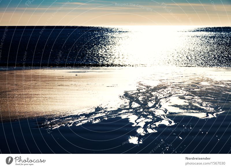 Ein Abend am Meer Strand Natur Landschaft Urelemente Sand Wasser Sonne Sonnenaufgang Sonnenuntergang Sommer Schönes Wetter Nordsee Ostsee Schifffahrt leuchten