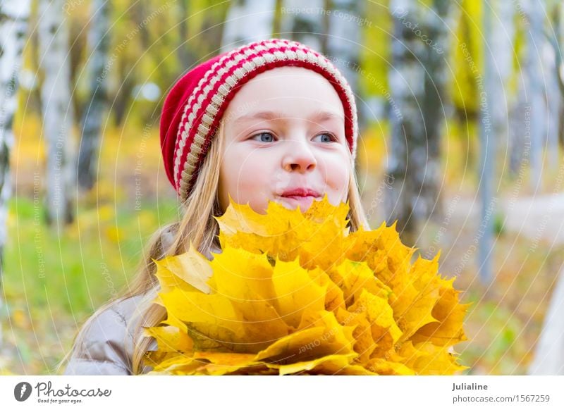 Mädchen mit Blumenstrauß von den Blättern im Herbst Kräuter & Gewürze Kind Schulkind Frau Erwachsene Kindheit 1 Mensch 8-13 Jahre Pflanze Blatt Hut blond