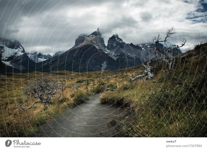 Torres del Paine Wolken Wind Berge u. Gebirge Torres del  Paine bedrohlich dunkel Wege & Pfade Torres del Paine NP Patagonien Wetterumschwung Menschenleer