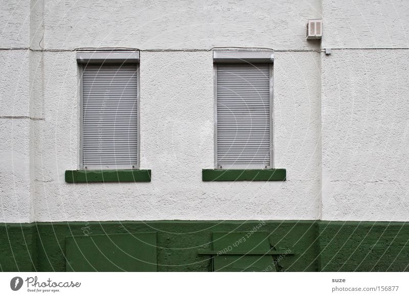 Sonntag Wohnung Haus Mauer Wand Fenster Linie trist grün geschlossen Putz Rollladen Jalousie Fensterbrett Altbau paarweise Kabel weiß Farbfoto Gedeckte Farben