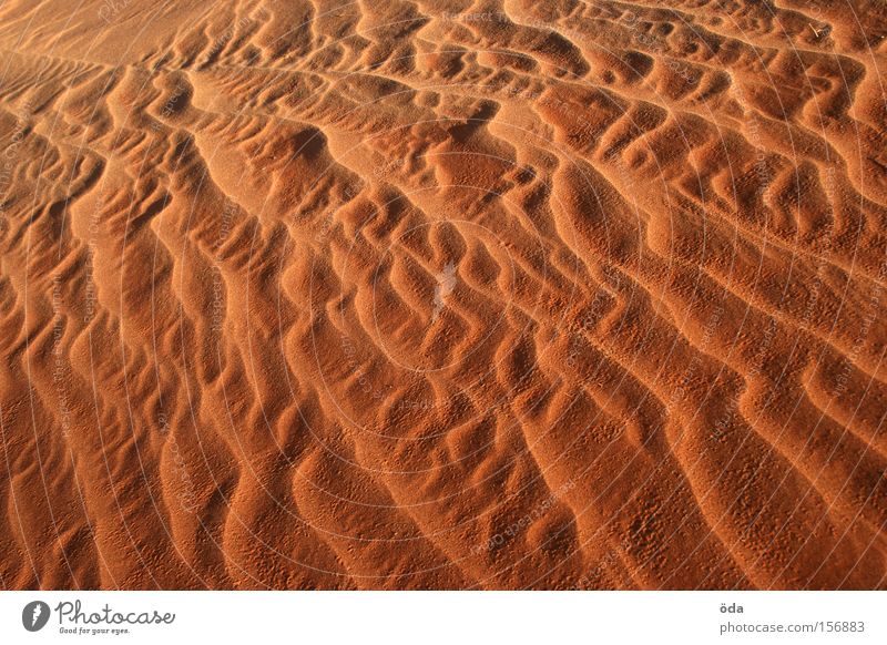 Sandgeflüster Düne Wüste Wind Strukturen & Formen fließen Muster Natur trocken rot glühen Sandsturm Wellen Formation Farbe