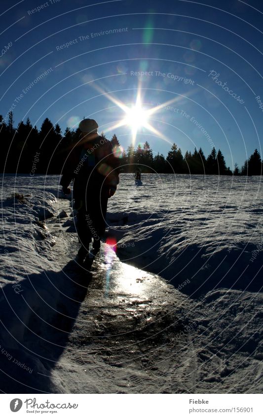 Winterspaß Sonne Schnee Baum Eis Frost Flocke Himmel Harz Rodelbahn Rodeln Spuren Tag Reflexion & Spiegelung Freude Natur Sonnenstrahlen Landschaft Mensch Frau