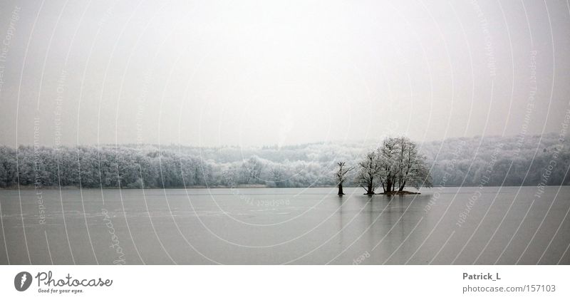 exil Eis Baum See hell dunkel ruhig beruhigend weiß Schnee träumen Ferne alt Einsamkeit Vertrauen Winter Deutschland