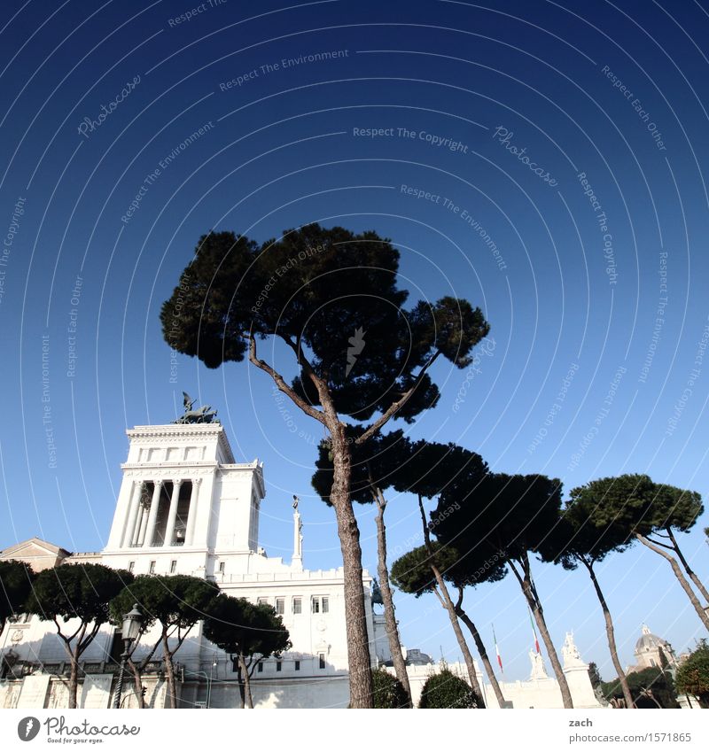 Blau machen | Der Himmel über Rom II Schönes Wetter Italien Stadt Hauptstadt Stadtzentrum Altstadt Palast Platz Piazza Venezia Sehenswürdigkeit Wahrzeichen