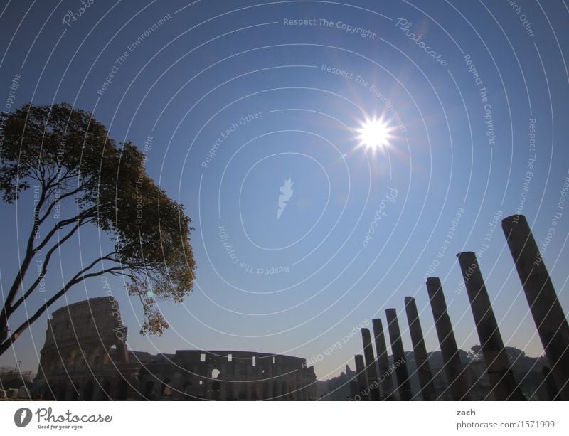 Die Entdeckung des Himmels Tourismus Sightseeing Städtereise Sonne Sonnenlicht Schönes Wetter Rom Italien Stadt Stadtzentrum Altstadt Religion & Glaube Dom