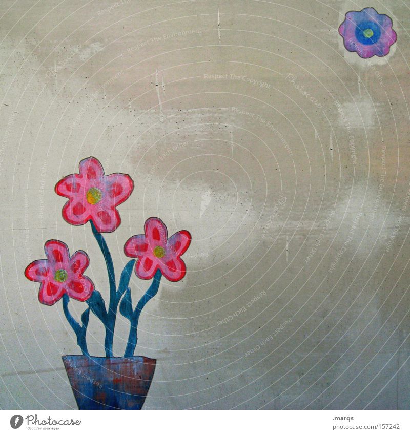 Floret Farbfoto mehrfarbig Außenaufnahme Textfreiraum rechts Topf Lifestyle Freizeit & Hobby Dekoration & Verzierung Muttertag Pflanze Blume Blüte exotisch