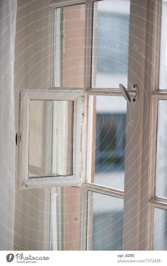 Fensterladen Haus entdecken alt ästhetisch einzigartig grau weiß offen Farbfoto Gedeckte Farben Innenaufnahme Menschenleer Tag Schwache Tiefenschärfe