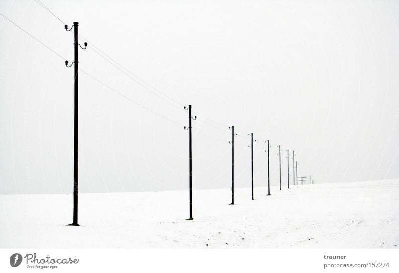 Lost in nowhere Schwarzweißfoto Außenaufnahme Menschenleer Dämmerung Kontrast Winter Schnee Kabel Unterhaltungselektronik Telekommunikation Energiewirtschaft