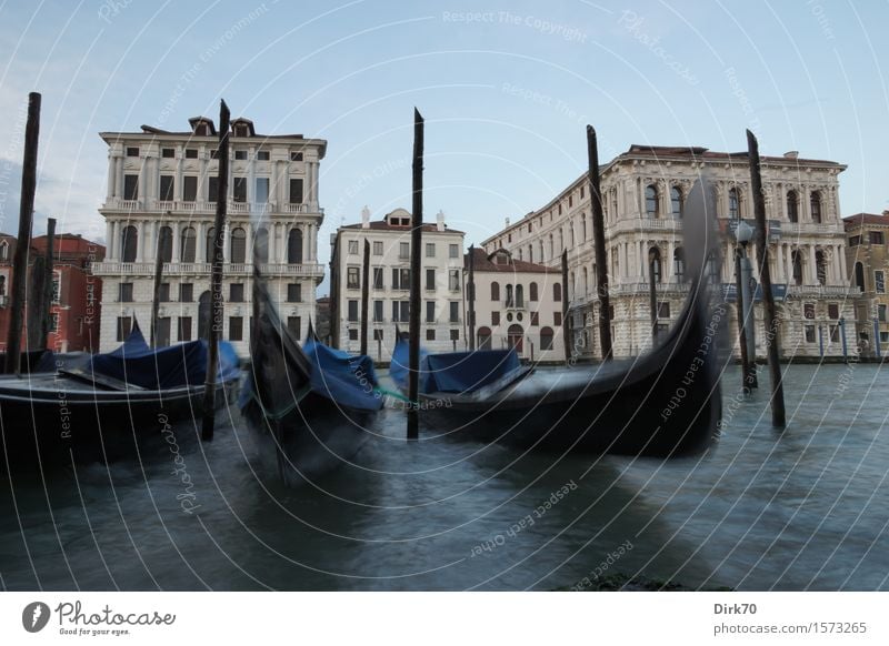 Venedig in Bewegung Lifestyle elegant Stil Ferien & Urlaub & Reisen Tourismus Sightseeing Städtereise Wasser Wolkenloser Himmel Schönes Wetter Wellen Kanal