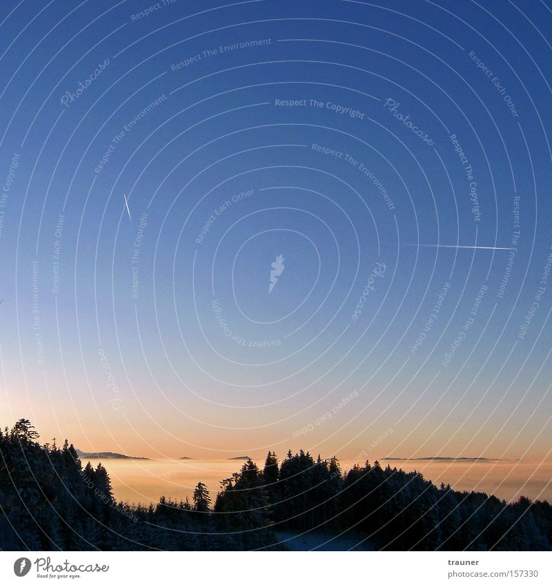 Nebelblut Abend Sonnenuntergang Abenddämmerung Himmel blau Flugzeug Kondensstreifen Wald Farbverlauf Berge u. Gebirge Niederschlag Licht rot Alpenvorland Allgäu