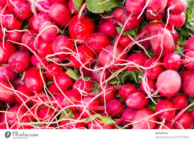 Hintergrund mit frischem rotem Rettich Gemüse Vegetarische Ernährung Blatt rosa Lebensmittel Gesundheit roh organisch Farbfoto