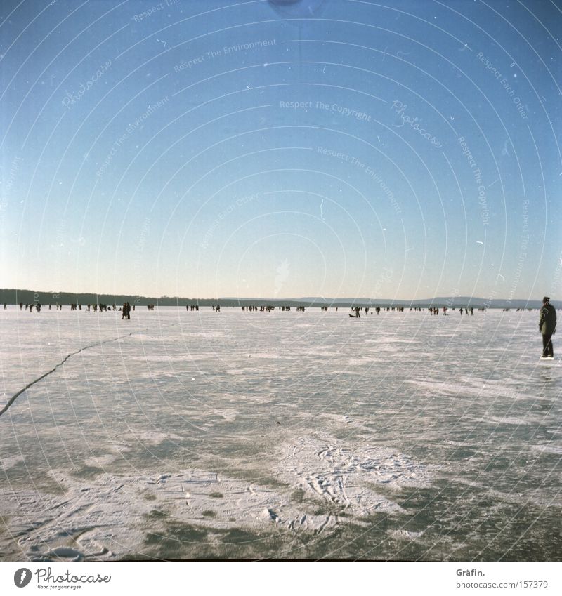 Eiswinter Himmel Horizont See gefroren Winter Mensch Karavane kalt frieren Steinhuder Meer Schlittschuhlaufen Menschengruppe Niedersachsen