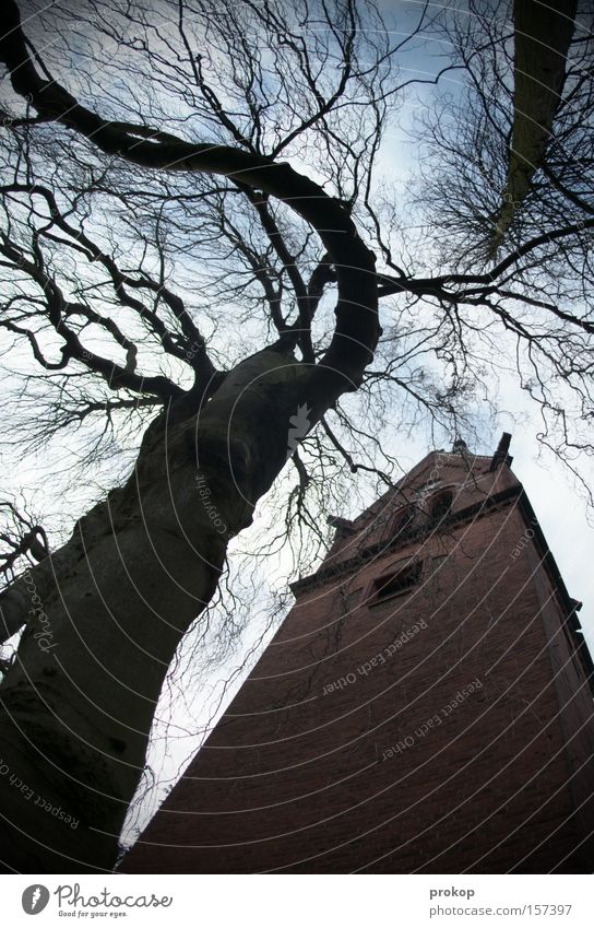 Dongding im Turm Religion & Glaube Kirche Baum Kirchturm heilig Weitwinkel Gott bedrohlich Natur verrückt fantastisch irre Verzerrung Glocke Himmel Wolken