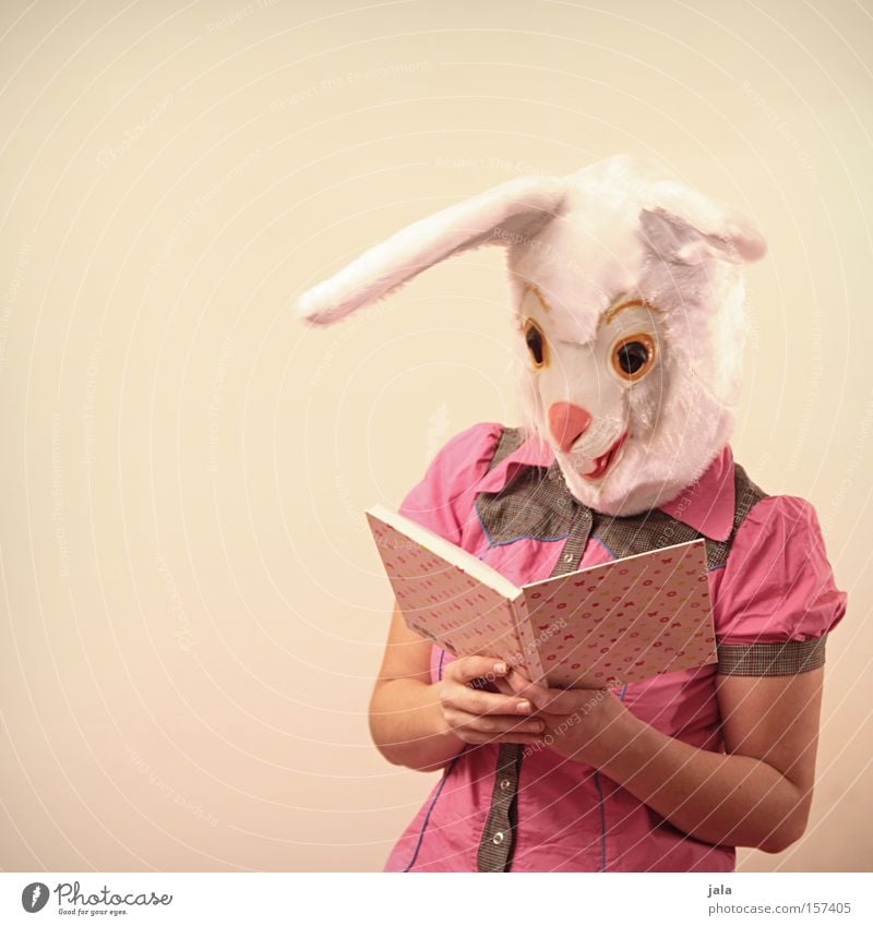 Schlauer Hase Hase & Kaninchen Osterhase Ostern Karneval verkleiden Tier weiß lustig rosa Mensch Ohr Karnevalskostüm Kostüm lesen Buch klug Säugetier Maske