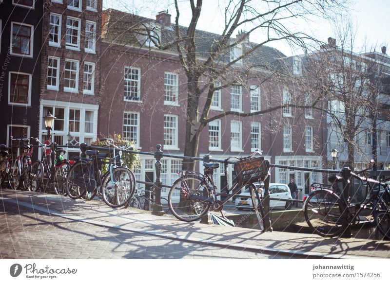 schonwieder zur richtigen zeit am richtigen ort. Ferien & Urlaub & Reisen Ausflug Freiheit Sightseeing Städtereise Fahrradtour Sommer Tradition Stadt Amsterdam