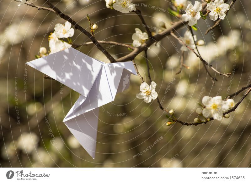 Weißer Origami tauchte den Vogel, der an blühendem Frühlingspflaumenbaum hängt Lifestyle elegant Glück schön Garten Dekoration & Verzierung Feste & Feiern