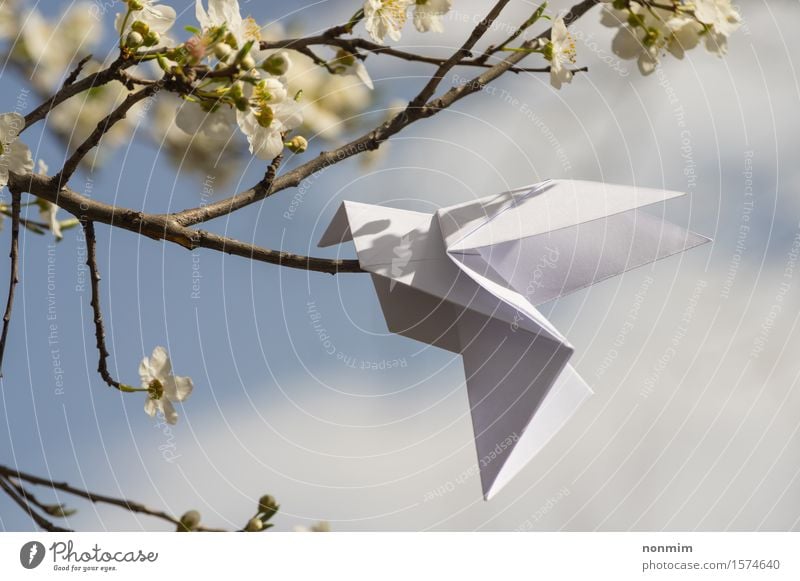 Weißer Origami tauchte den Vogel, der an blühendem Frühlingspflaumenbaum hängt Lifestyle elegant Glück schön Garten Dekoration & Verzierung Feste & Feiern Kunst