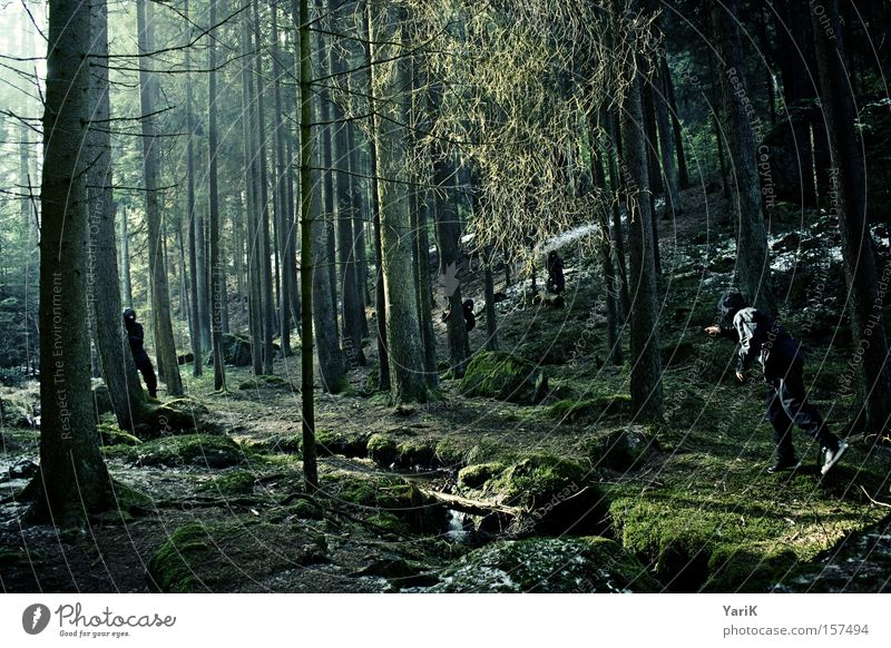 assassins Ninja Kämpfer Attentäter Hinterhalt verstecken Wald Baum Sonnenstrahlen beobachten Bach grün Winter geheimnisvoll gefährlich erspähen