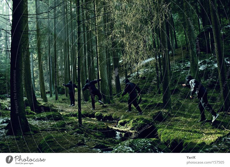 ninja walk Ninja Kämpfer Attentäter Hinterhalt verstecken Wald Baum Sonnenstrahlen beobachten Bach grün Winter geheimnisvoll gefährlich erspähen