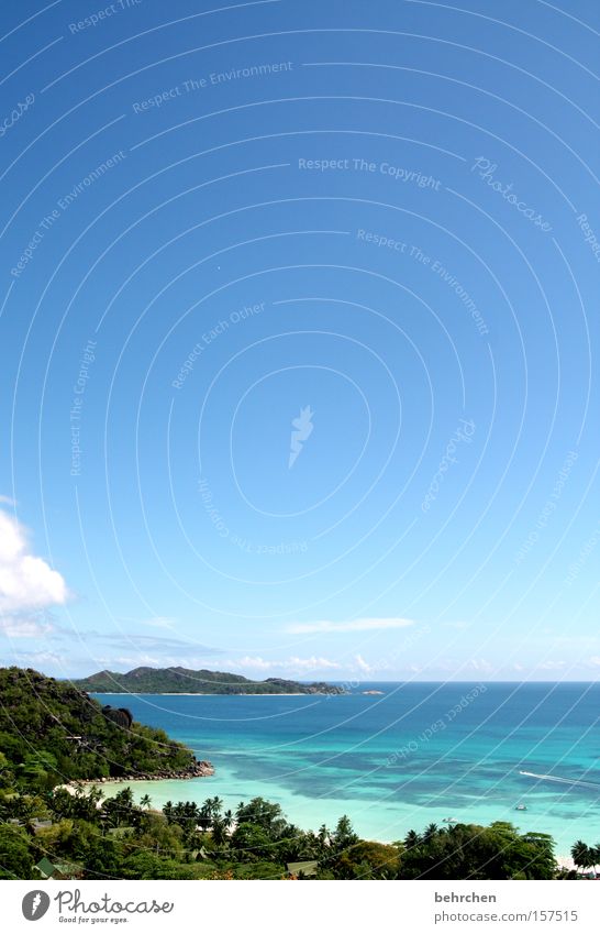 ausblick Seychellen Aussicht Meer blau Himmel Palme Trauminsel Wolken Fernweh Ferne Freiheit schön traumhaft Strand Küste praslin