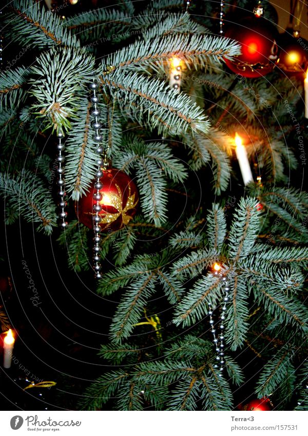 5. Advent Weihnachten & Advent Weihnachtsbaum verschlafen Dekoration & Verzierung Kerze Lichterkette Perle Kugel Christbaumkugel Weihnachtsdekoration Tanne grün