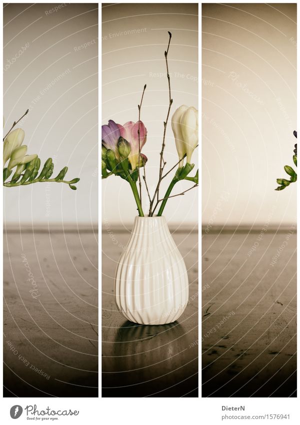 3x1 Pflanze Blume Blatt Blüte braun grün weiß Blumenstrauß Blumenvase Holz Vase Farbfoto Gedeckte Farben Innenaufnahme Studioaufnahme Detailaufnahme