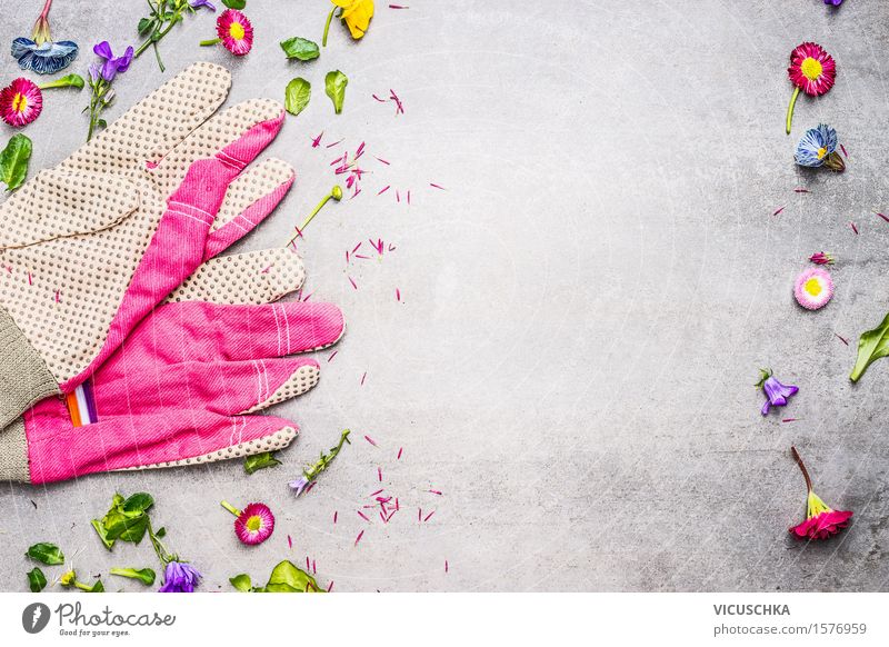 Gartenhandschuhe mit Blumen, Blättern und Pflanzen Stil Sommer Häusliches Leben Tisch Natur Blatt Blüte Blühend rosa Design Gerät Gartenarbeit Handschuhe