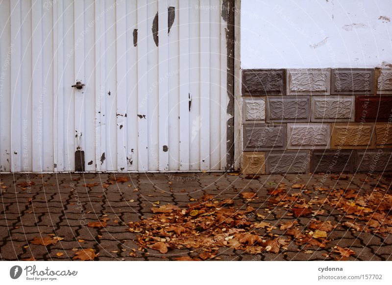 Ausfahrt Herbst Blatt mehrfarbig Garage Haus Bürgersteig Wind trist Jahreszeiten Mauer Vergänglichkeit Häusliches Leben schön ästhetisch Natur Detailaufnahme