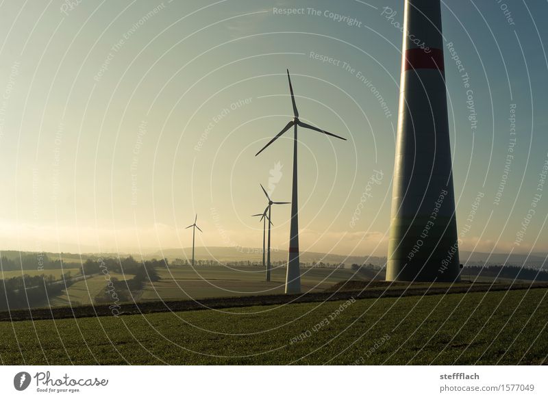 Sonnenaufgang Windernte Energiewirtschaft Technik & Technologie Erneuerbare Energie Windkraftanlage Umwelt Landschaft Erde Luft Himmel Sonnenlicht Frühling