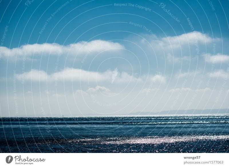 Glitzermeer Natur Landschaft Luft Wasser Himmel Wolken Horizont Frühling Schönes Wetter Wellen Küste Ostsee maritim blau weiß Sehnsucht Fernweh Erholung