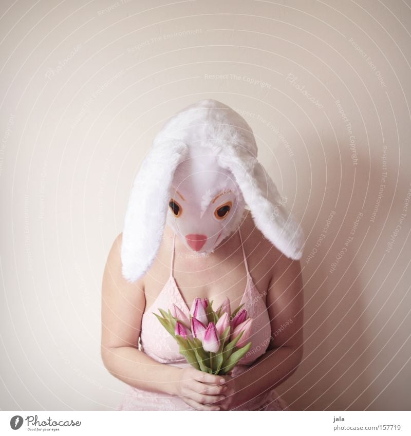 I'm sorry Hase & Kaninchen Osterhase Ostern Karneval verkleiden Tier weiß lustig Frau Ohr Karnevalskostüm Kostüm Blume Entschuldigung Freude Liebe