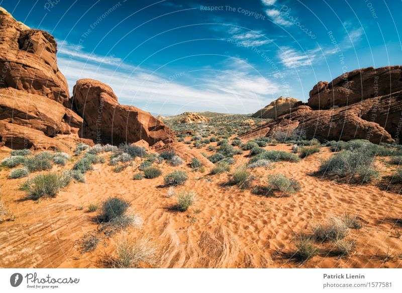 Desert View schön Zufriedenheit Sinnesorgane Ferien & Urlaub & Reisen Ausflug Abenteuer Ferne Freiheit Expedition Sommer Berge u. Gebirge wandern Umwelt Natur