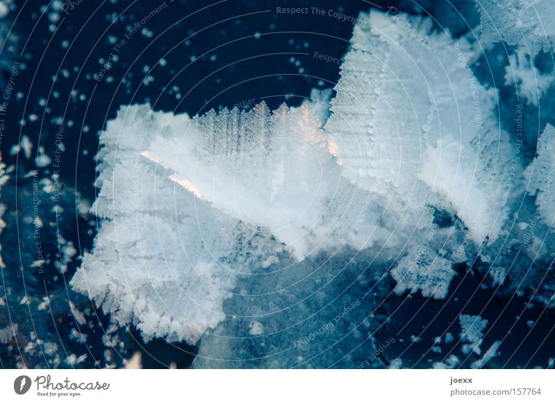 Eiskristall kalt Feder Kristallstrukturen Schnee Winter eisfeder Außenaufnahme