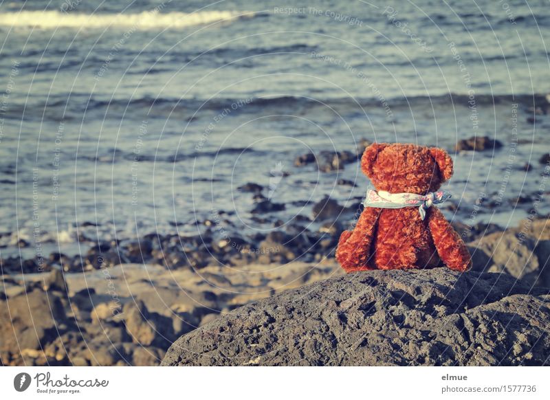 Teddy Per macht Urlaub (14) Ferien & Urlaub & Reisen Sommerurlaub Sonnenbad Wellen Küste Meer Teddybär Stofftiere Halstuch Blick sitzen klein Freude Glück