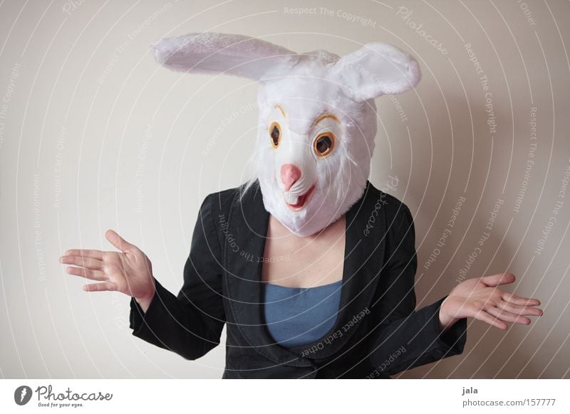 Picknick - Was soll ich mitnehmen? Hase & Kaninchen Osterhase Ostern Karneval verkleiden Tier weiß lustig Frau Karnevalskostüm Kostüm ratlos Freude