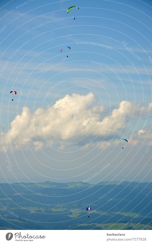 Sie fliegen wieder Sport Gleitschirmfliegen Mensch Menschengruppe Natur Landschaft Urelemente Erde Luft Himmel Wolken Klima Wind Alpen Berge u. Gebirge