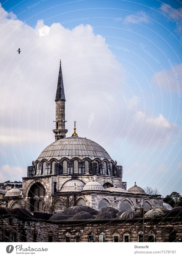 Moschee Architektur Istanbul Stadt Hauptstadt Stadtzentrum Altstadt Menschenleer Kirche Sehenswürdigkeit Wahrzeichen Denkmal blau schwarz weiß Himmel Wolken