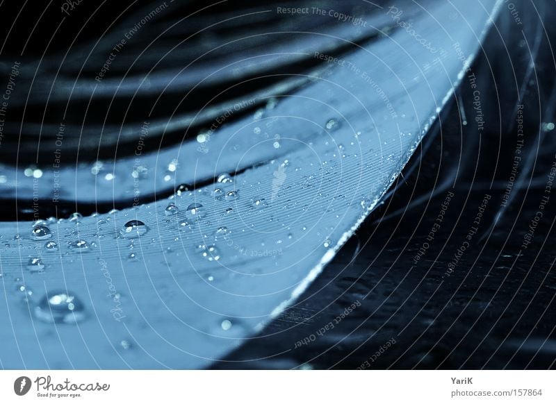 feder-kalt Feder leicht feucht nass Wasser Wassertropfen Tropfen Makroaufnahme blau Tau Kontrast hydrophob Nahaufnahme Menschenleer