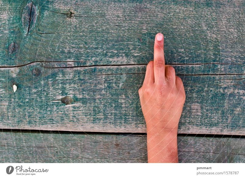 vulgär mit einem Handzeichen gemacht Mensch Mädchen Junge Frau Erwachsene Mann Finger Baum Ring Holz Zeichen alt braun grün schwarz weiß Gefühle gefährlich