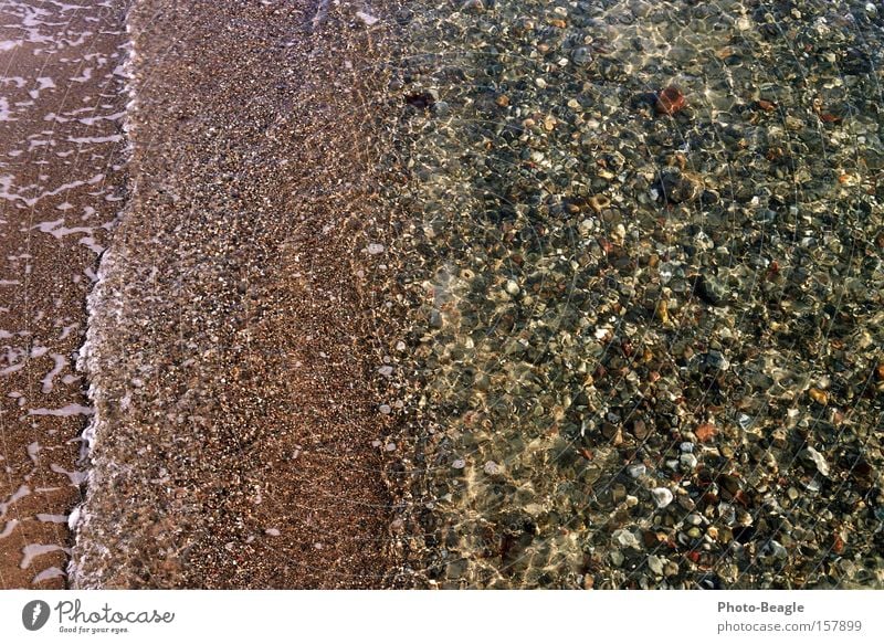 Imbiß am Valentinstag Ostsee Meer Wasser Strand Wellen Sand Stein Muschel nass Meerwasser Brandung Ferien & Urlaub & Reisen
