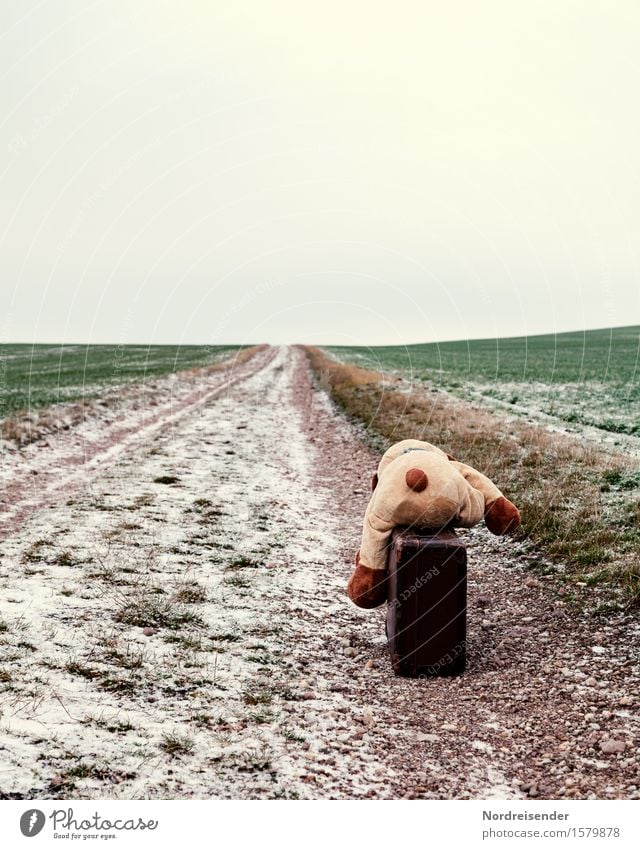 Unterwegs Spielen Ferien & Urlaub & Reisen Frühling Herbst Winter Klima Schnee Gras Feld Straße Wege & Pfade Koffer Teddybär Zeichen fallen warten Gefühle