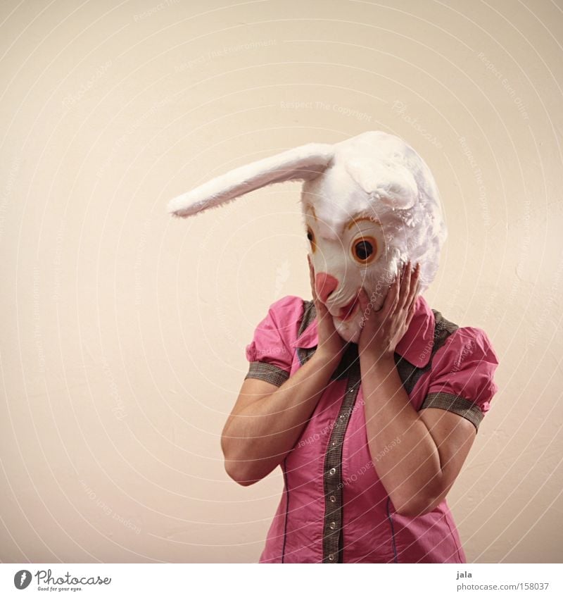 ich bin entzückt... Hase & Kaninchen Osterhase Ostern Karneval verkleiden Tier weiß lustig Frau Maske Kostüm Gefühle Freude