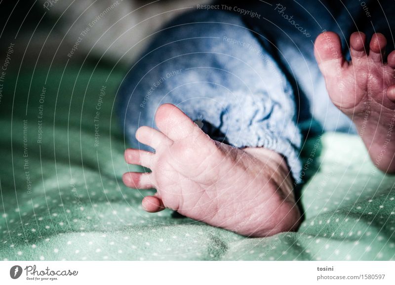 Füße eines Neugeborenen Fuß Baby grün gepunktet blau Schwache Tiefenschärfe Unschärfe Hosenbund Zehen Barfuß Falte winzig schön Fußspur Wege & Pfade einzigartig