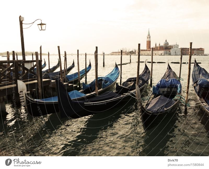 Durch Venedig gondeln ... Lifestyle Sightseeing Städtereise Kreuzfahrt Sonnenlicht Frühling Schönes Wetter Wellen Küste Bucht Laguneninseln Italien Veneto