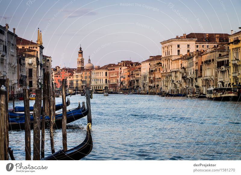 Sonnenaufgang am Canale Grande in Venedig Blick Zentralperspektive Starke Tiefenschärfe Morgendämmerung Licht Schatten Kontrast Textfreiraum Mitte