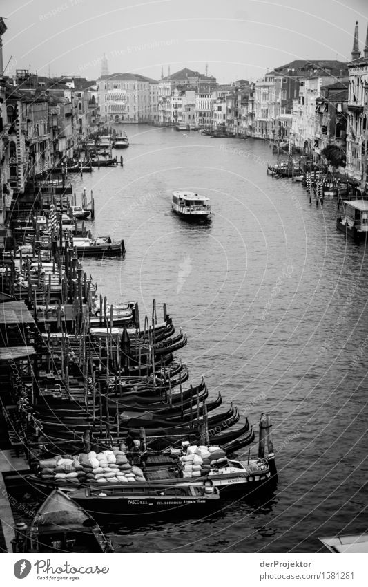 Schwarzweiß am Canale Grande in Venedig Blick Zentralperspektive Starke Tiefenschärfe Morgendämmerung Licht Schatten Kontrast Textfreiraum Mitte