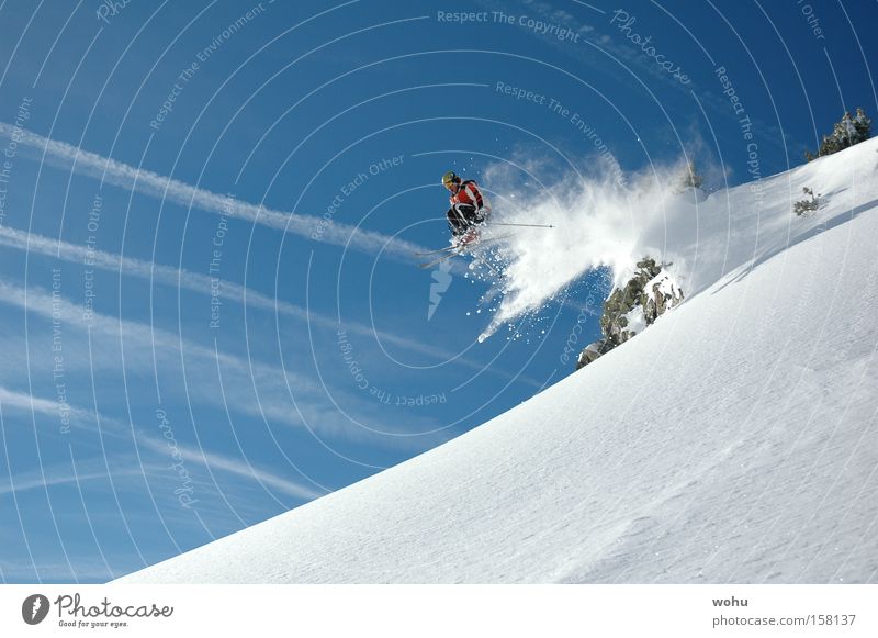 vollsau Skifahren Skifahrer Schnee Schneefall Skier springen fliegen Berge u. Gebirge Wintersport Freude Freestyle extrem Dynamik Luft Trick Blauer Himmel