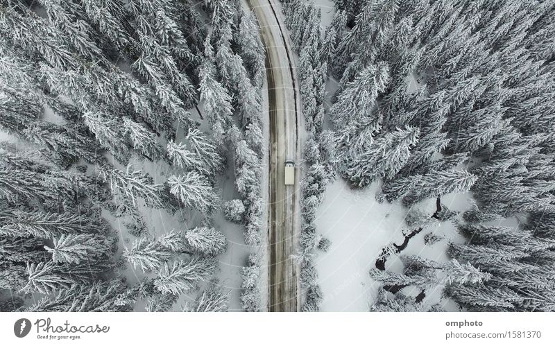 Luftaufnahme eines verschneiten Waldes mit hohen Kiefern und Straße mit einem Auto im Winter Schnee Berge u. Gebirge Natur Landschaft Baum PKW Fluggerät frieren