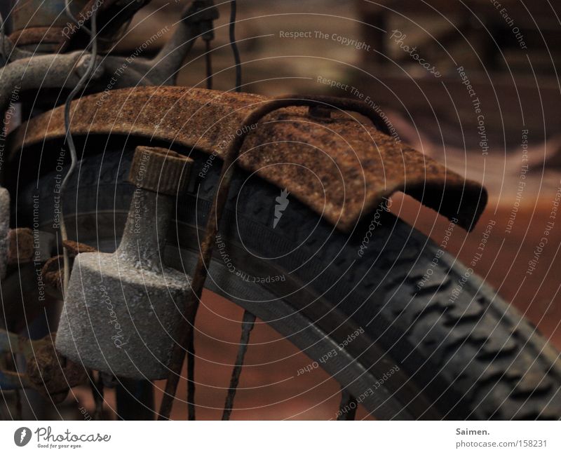 Korrosion Rost Fahrrad Reifen alt Reifenprofil Schutzblech Energie Vergänglichkeit verfallen Dynamo