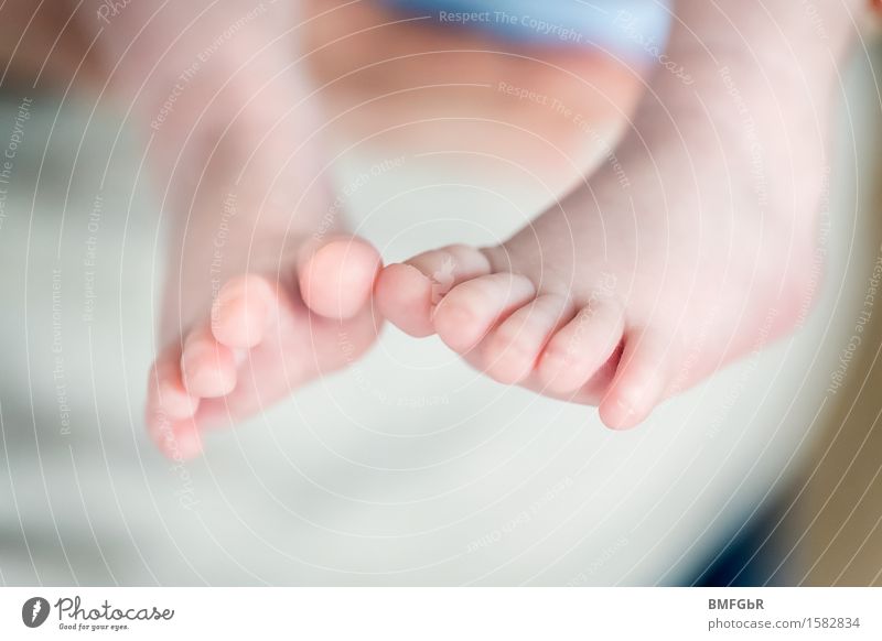 Barfüßiges Glück Mensch Baby Kleinkind Fuß 1 0-12 Monate Fröhlichkeit Gesundheit klein lustig niedlich Gefühle Freude Zufriedenheit Lebensfreude Geborgenheit